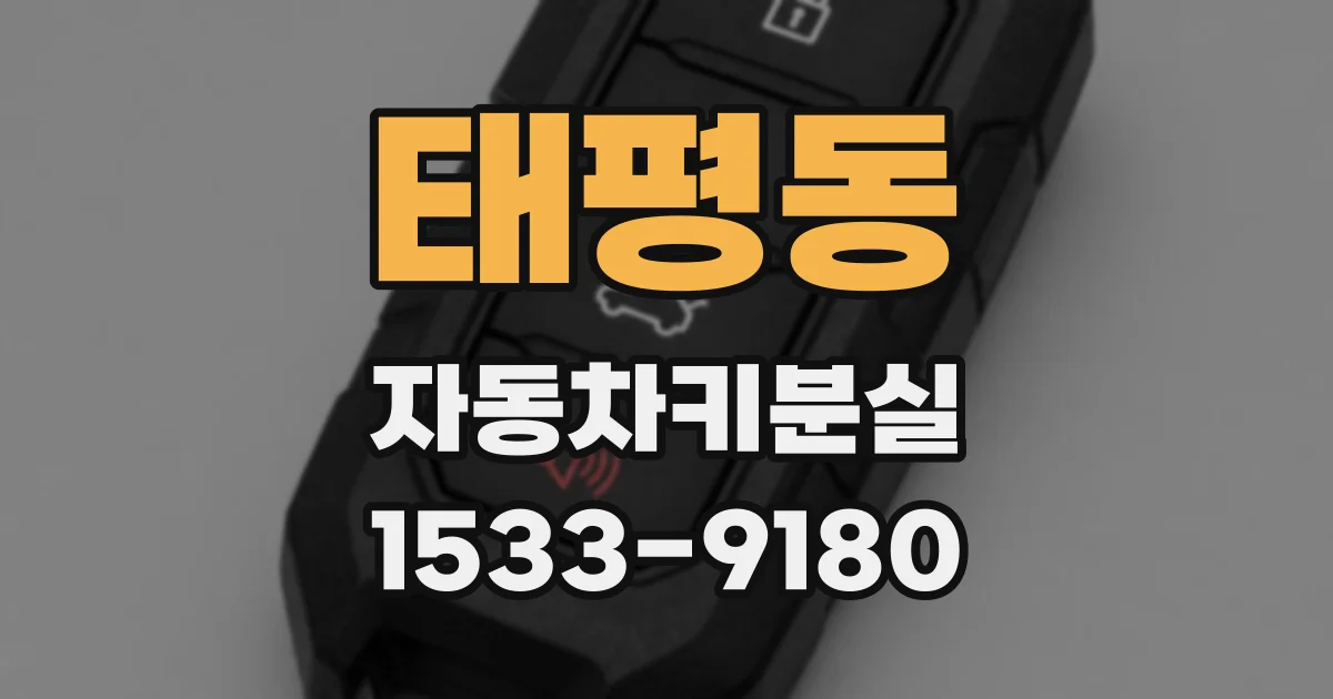 태평동 자동차키분실