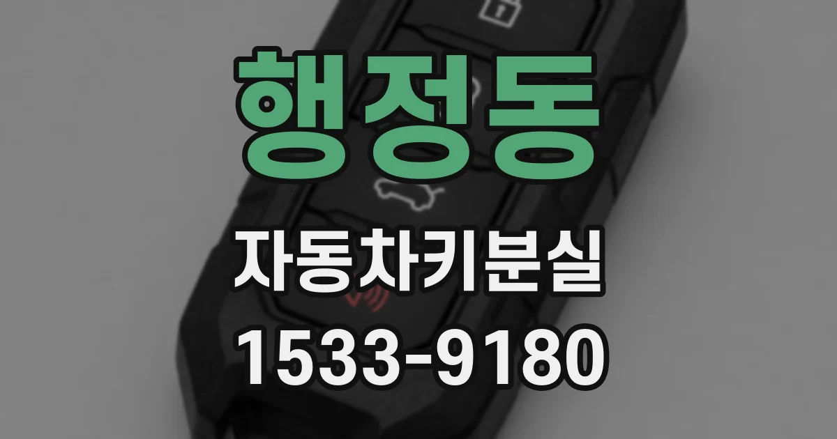 행정동 자동차키분실