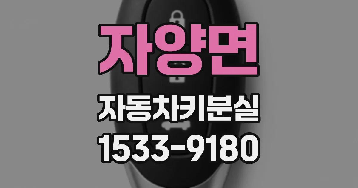 자양면 자동차키분실