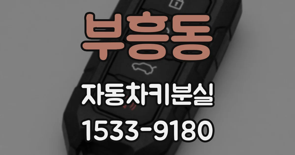 부흥동 자동차키분실