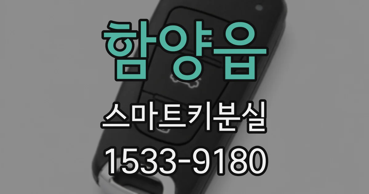 함양읍 스마트키분실
