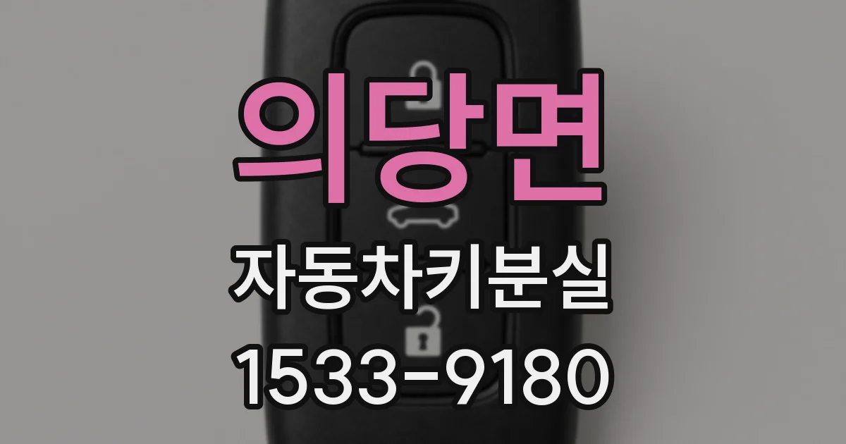 의당면 자동차키분실
