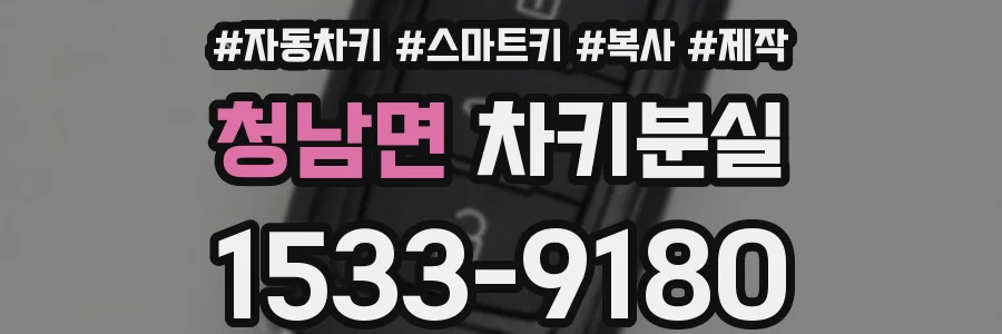 청남면 차키분실