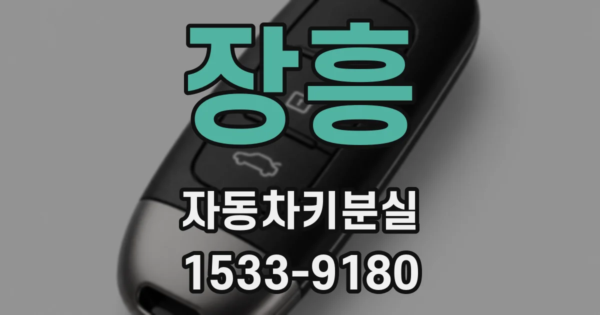 장흥 자동차키분실