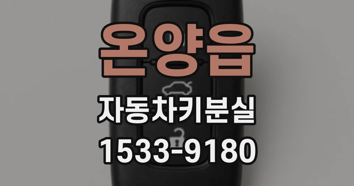 온양읍 자동차키분실