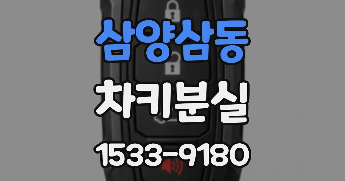 삼양삼동 차키분실