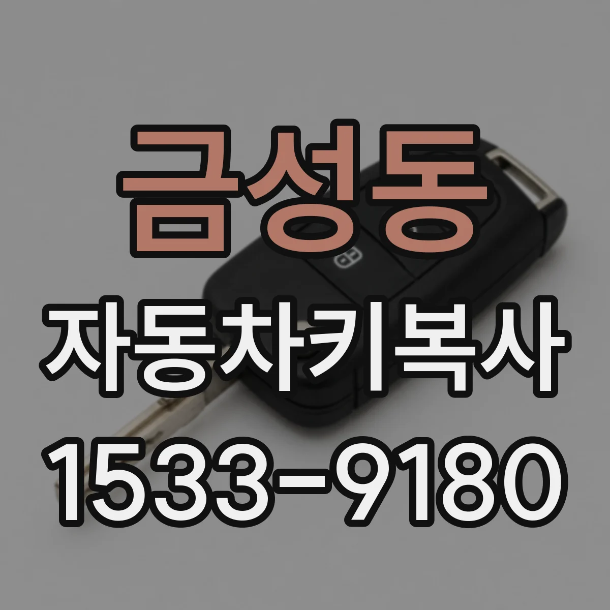 금성동 자동차키복사