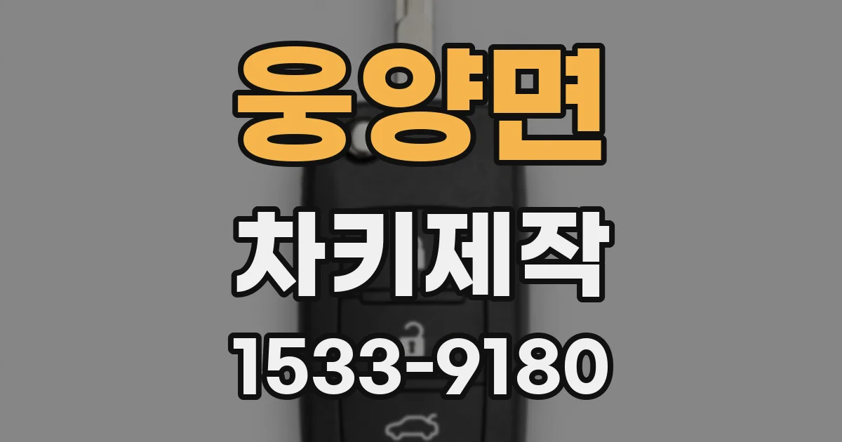 웅양면 차키제작