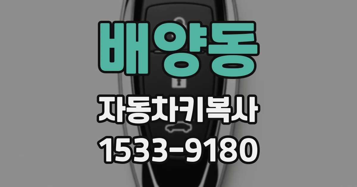 배양동 자동차키복사