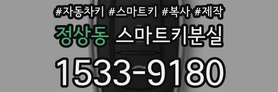 정상동 스마트키분실