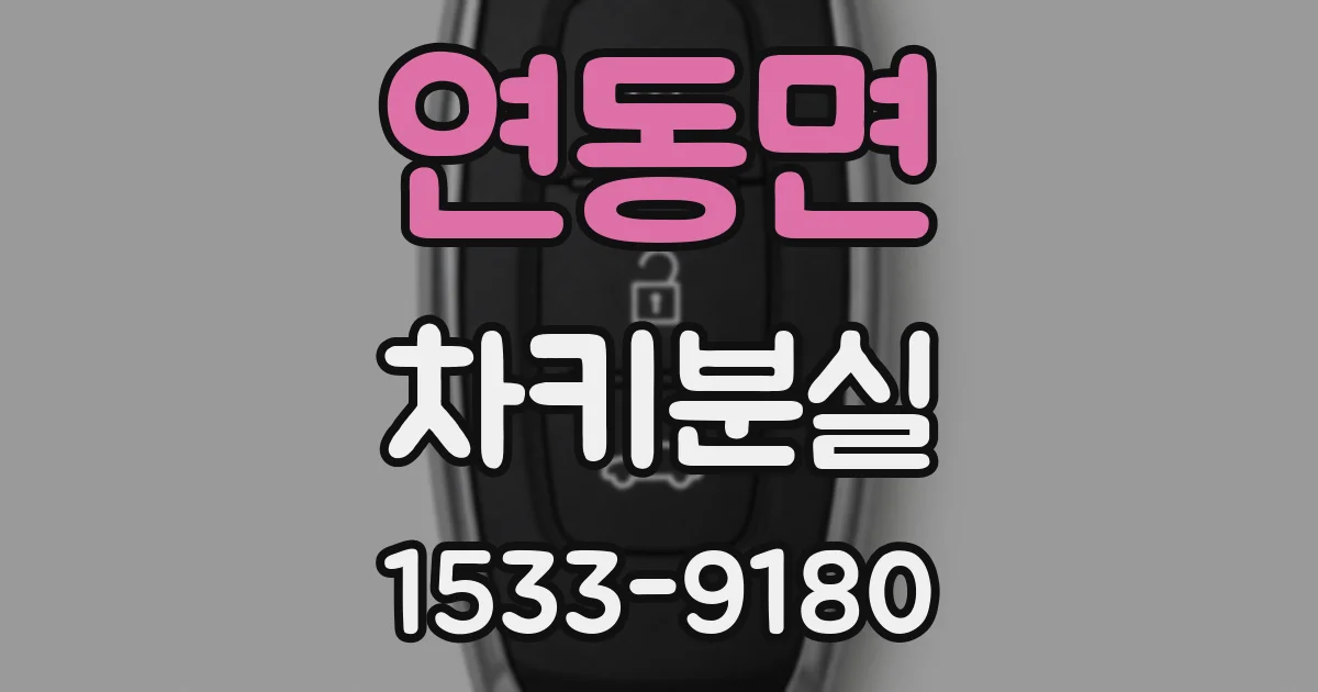 연동면 차키분실