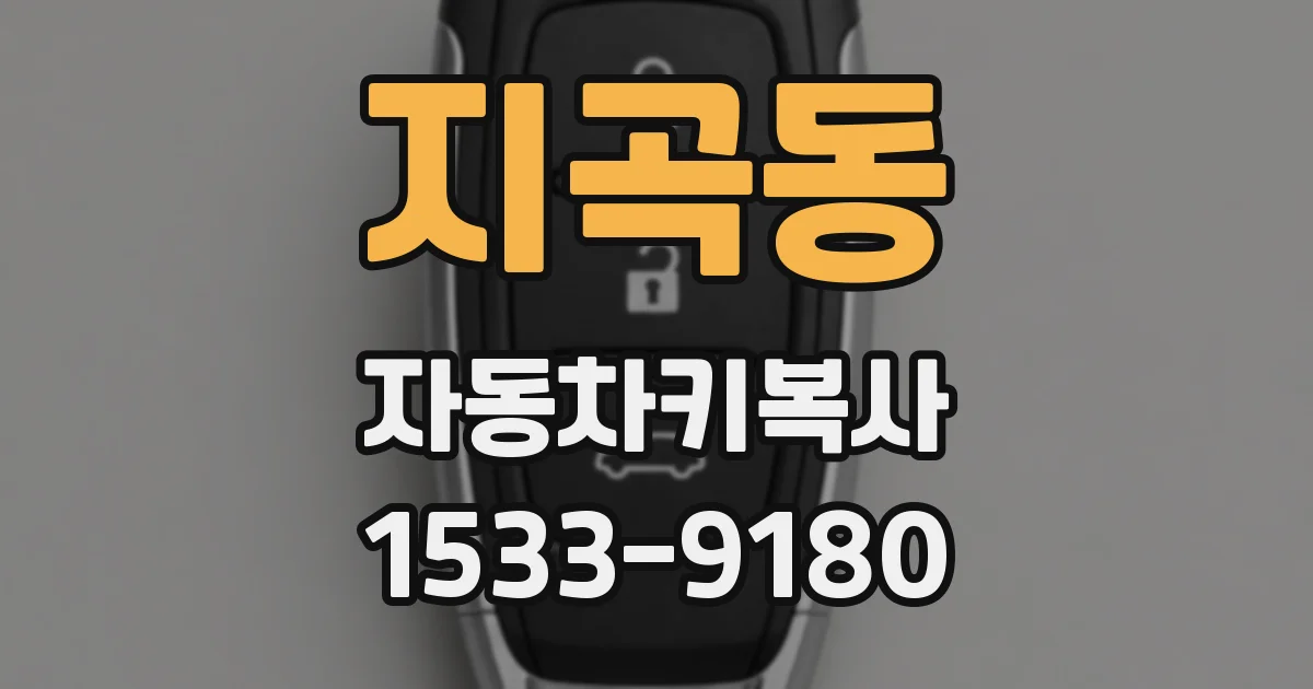 지곡동 자동차키복사