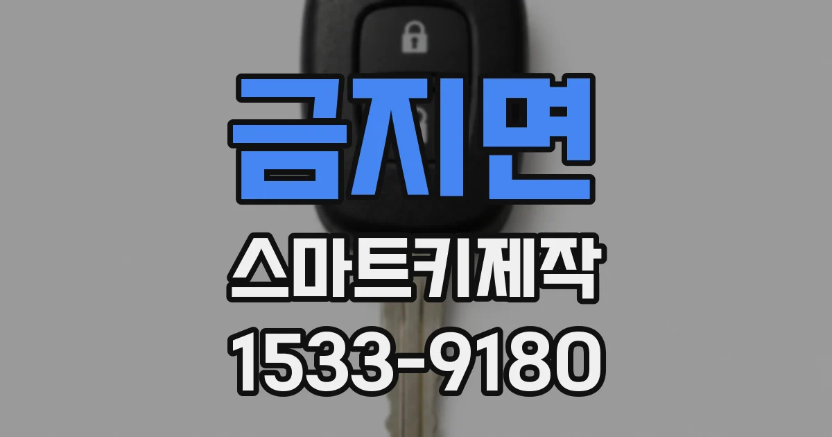 금지면 스마트키제작