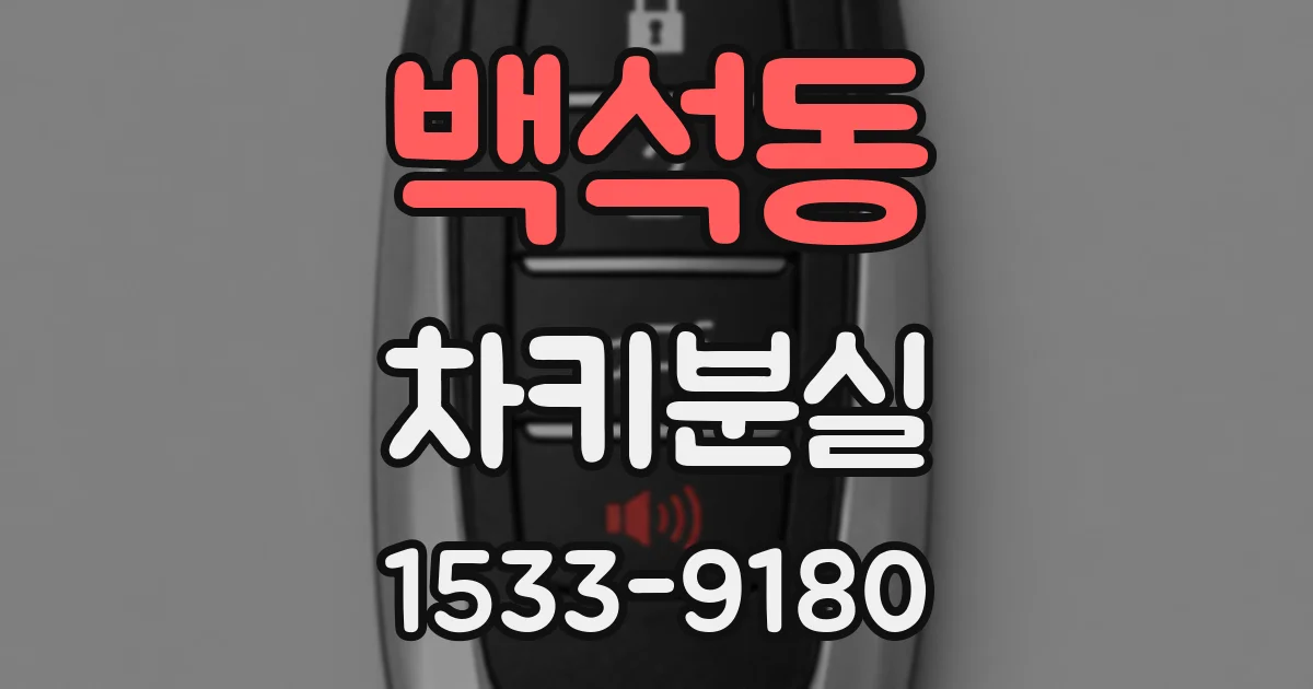 백석동 차키분실