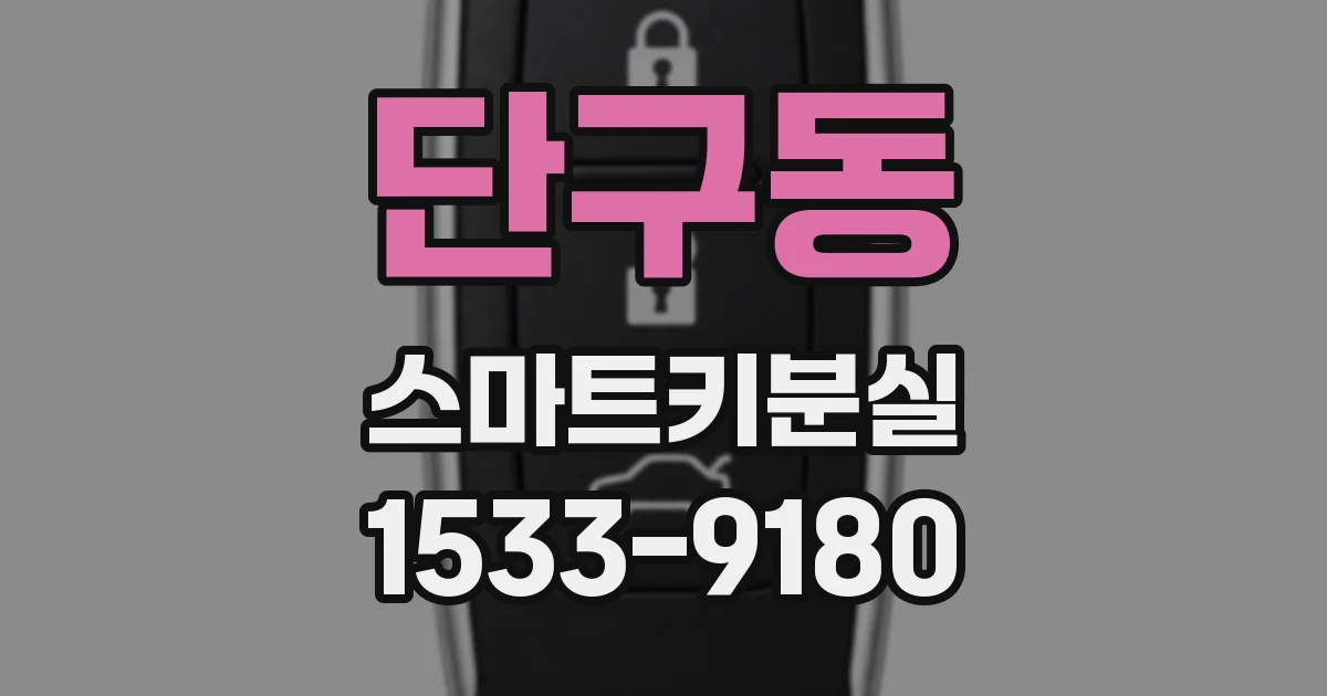 단구동 스마트키분실