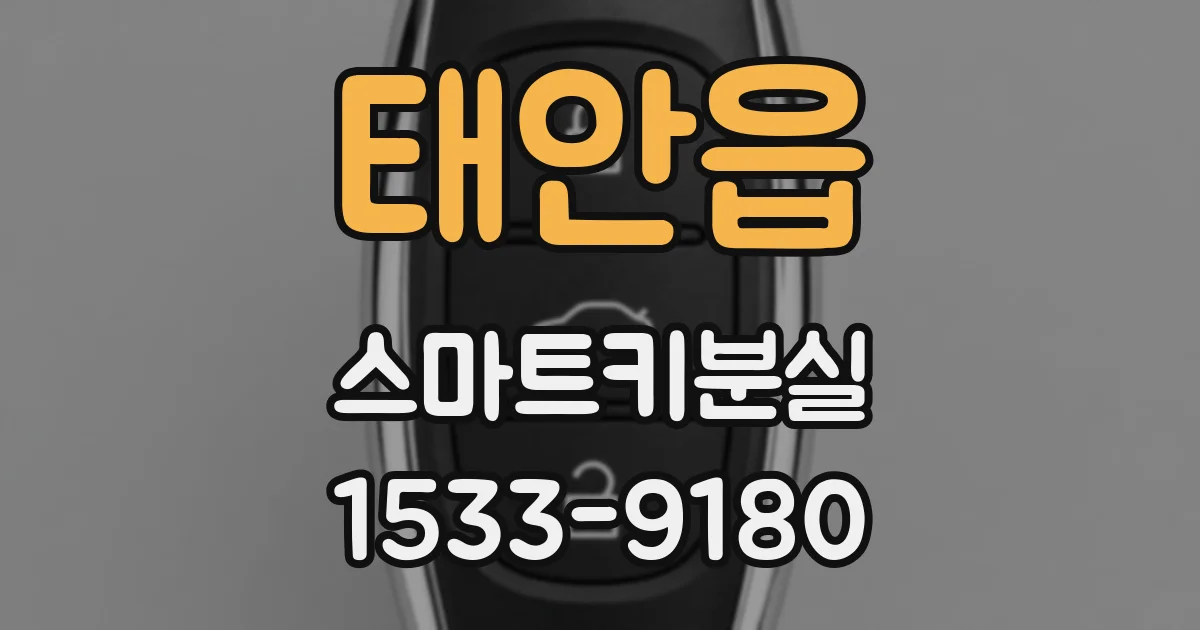 태안읍 스마트키분실