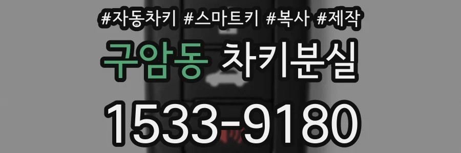 구암동 차키분실