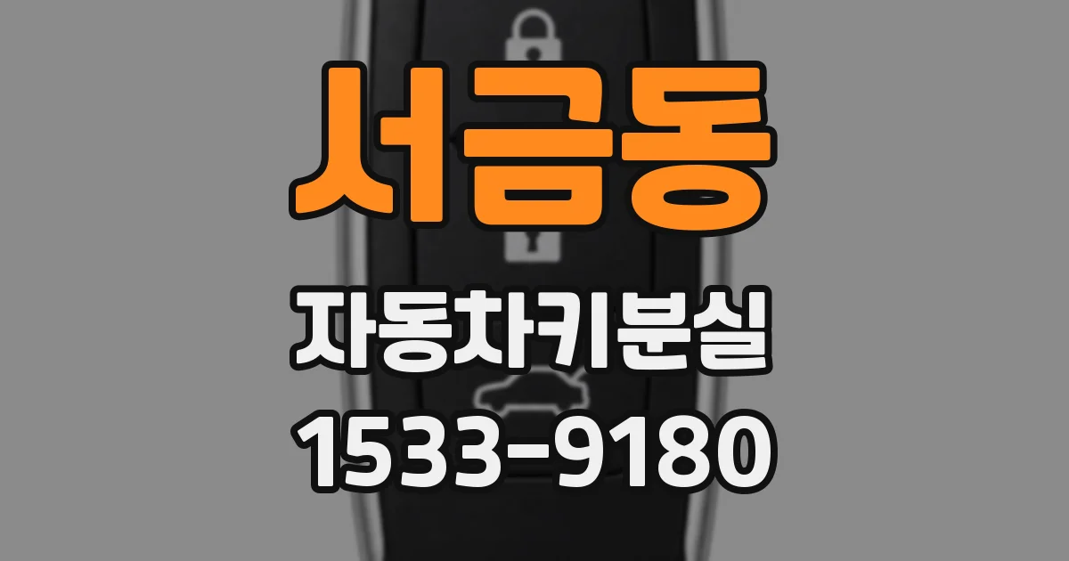 서금동 자동차키분실