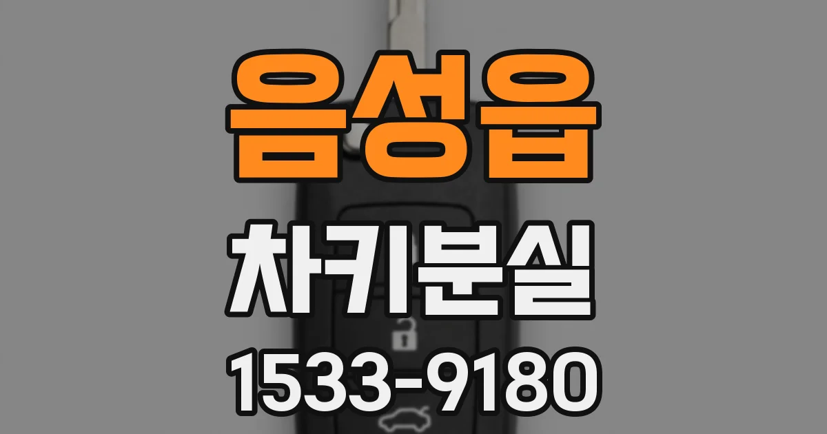 음성읍 차키분실
