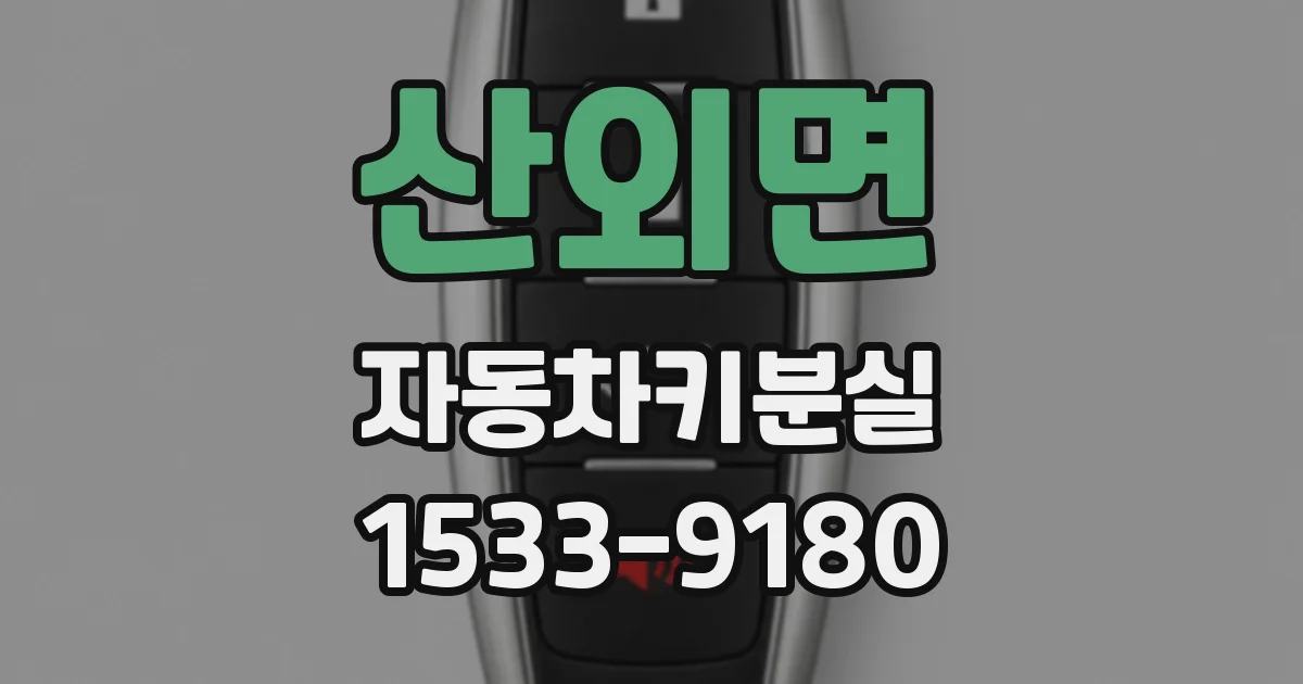 산외면 자동차키분실