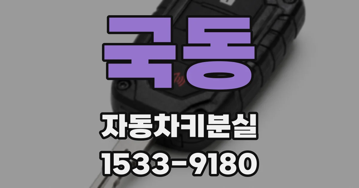 국동 자동차키분실