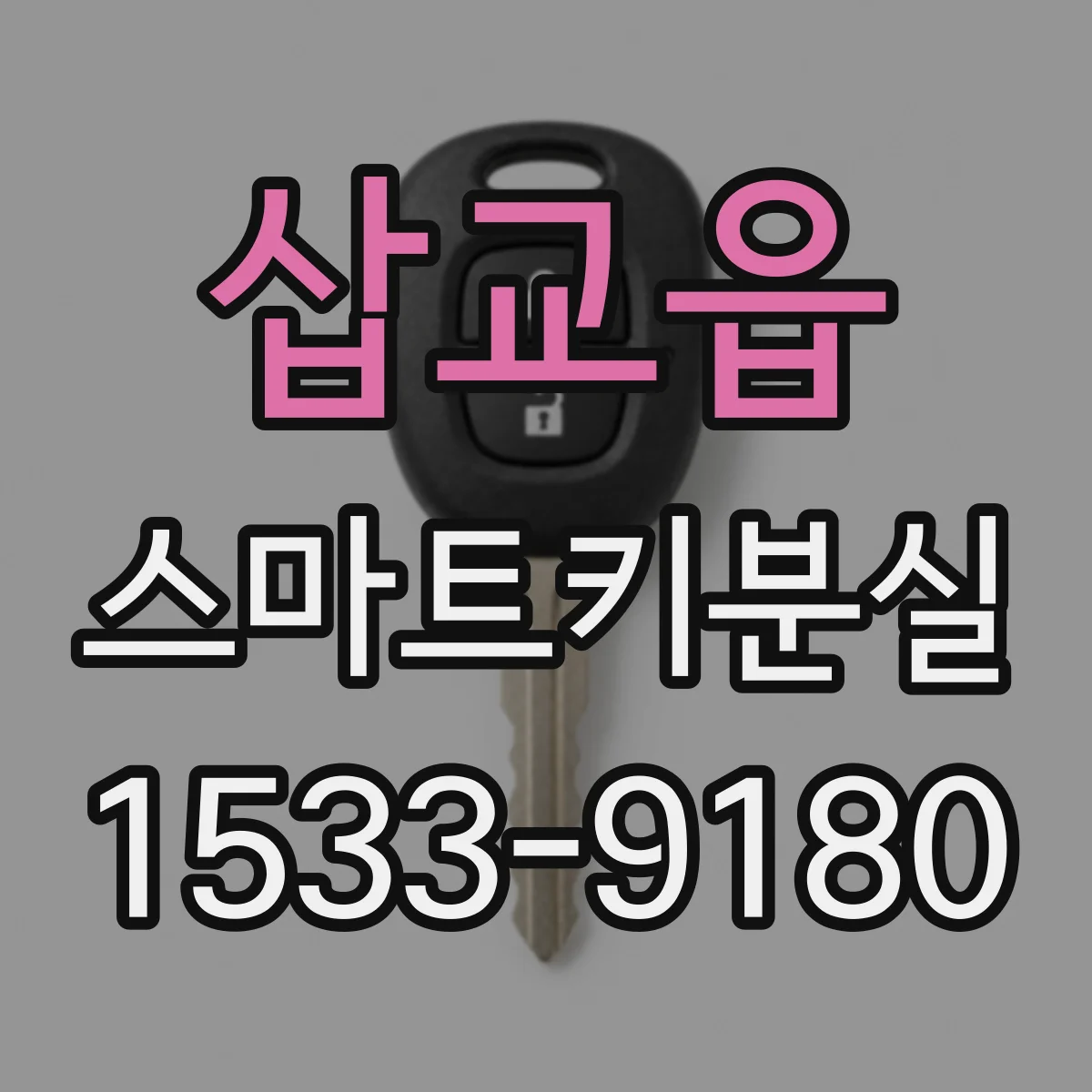 삽교읍 스마트키분실