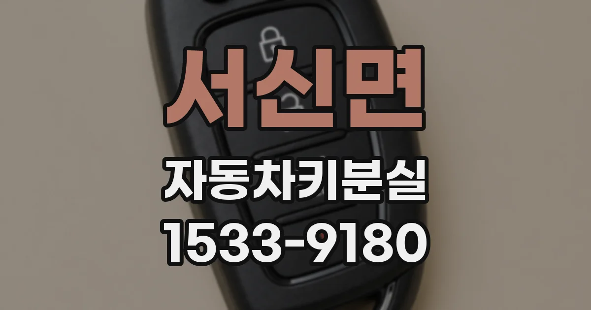 서신면 자동차키분실
