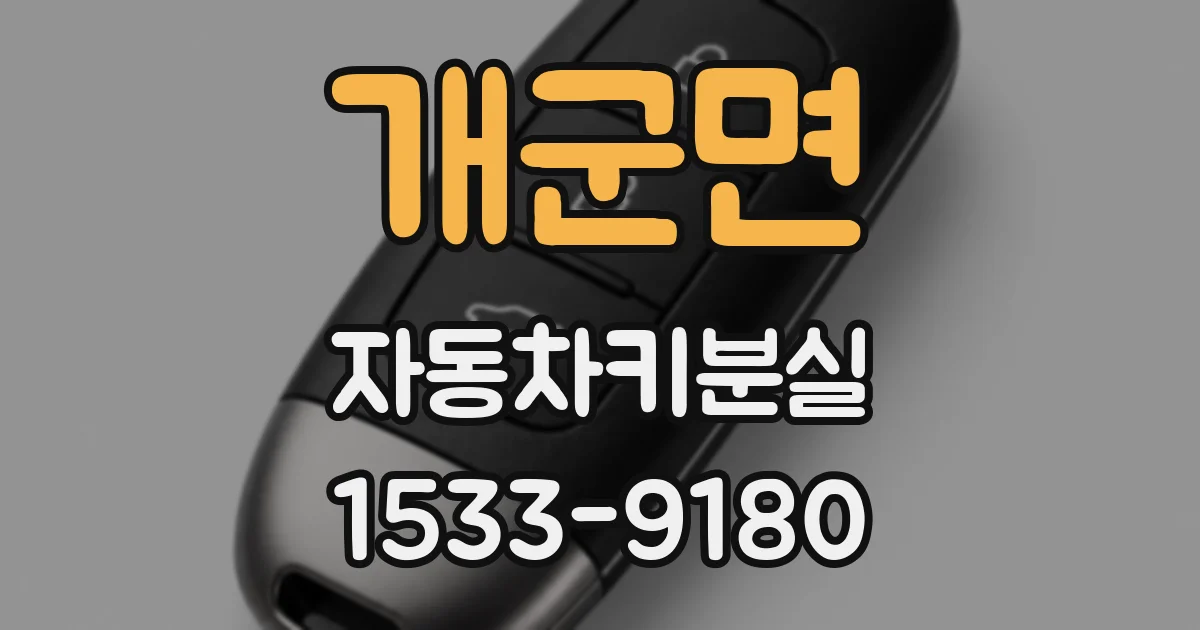 개군면 자동차키분실