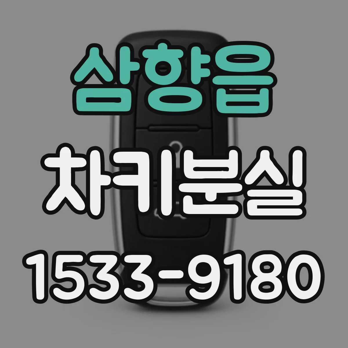 삼향읍 차키분실
