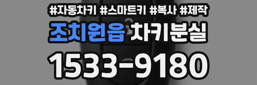 조치원읍 차키분실