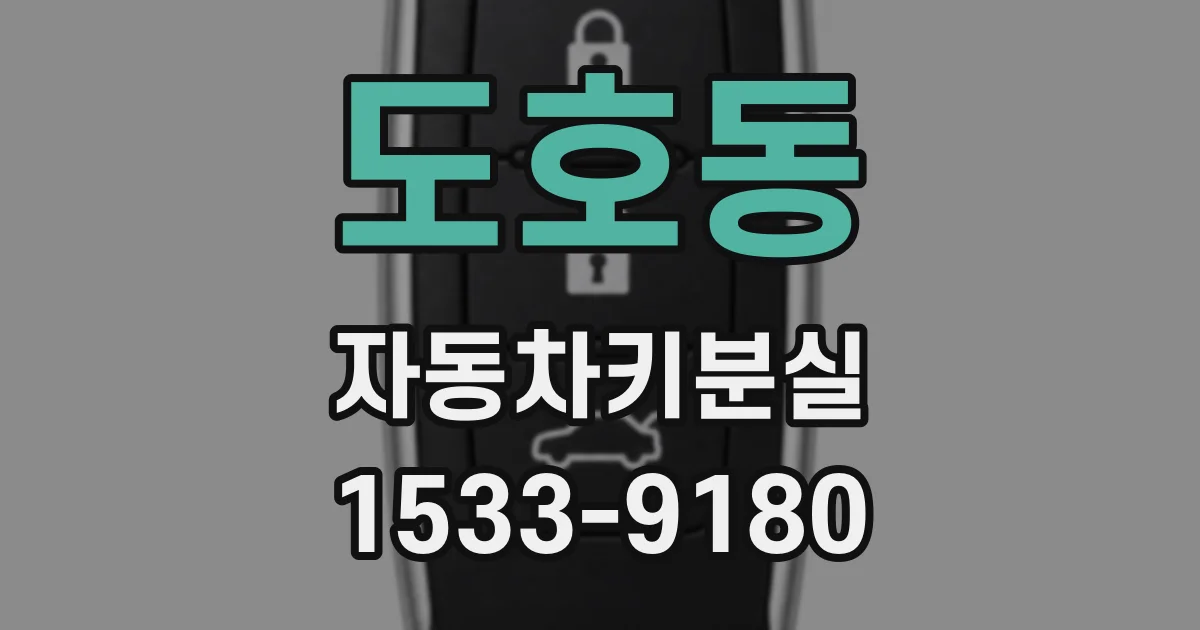 도호동 자동차키분실
