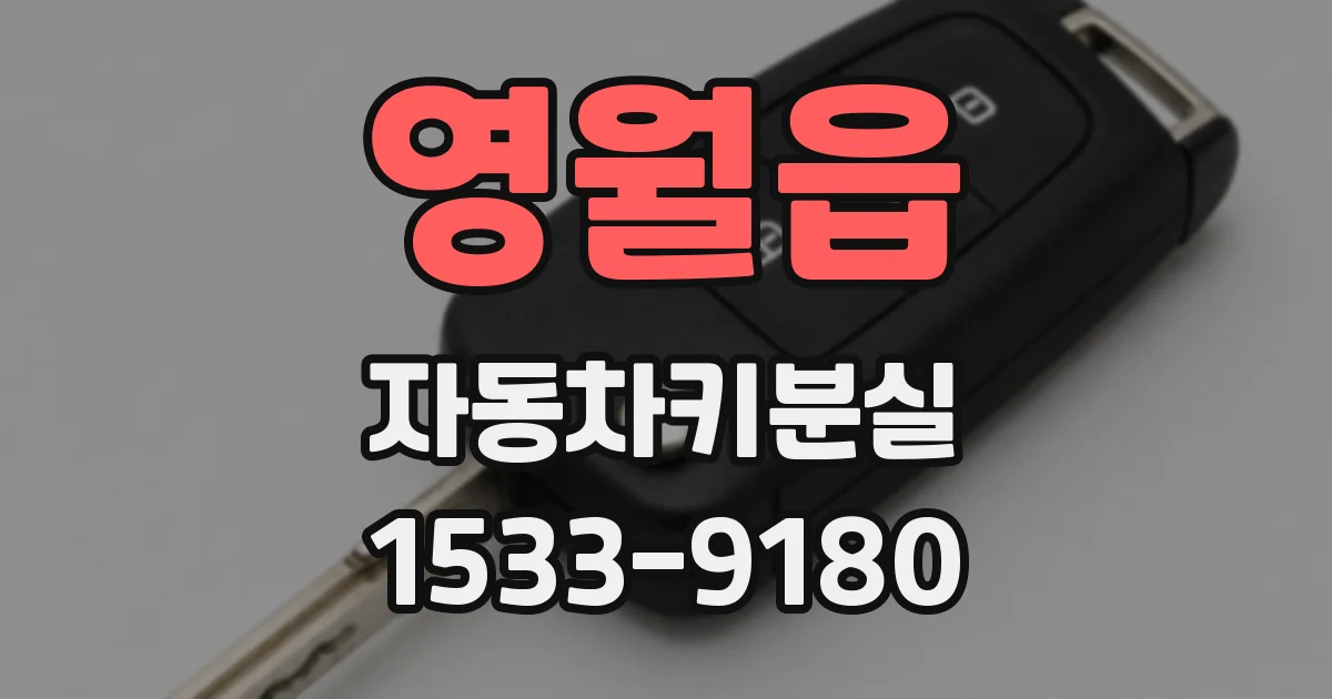 영월읍 자동차키분실