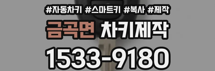 금곡면 차키제작