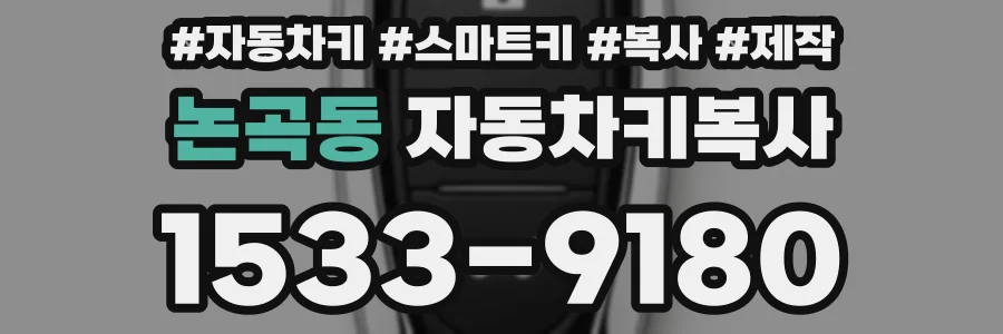 논곡동 자동차키복사