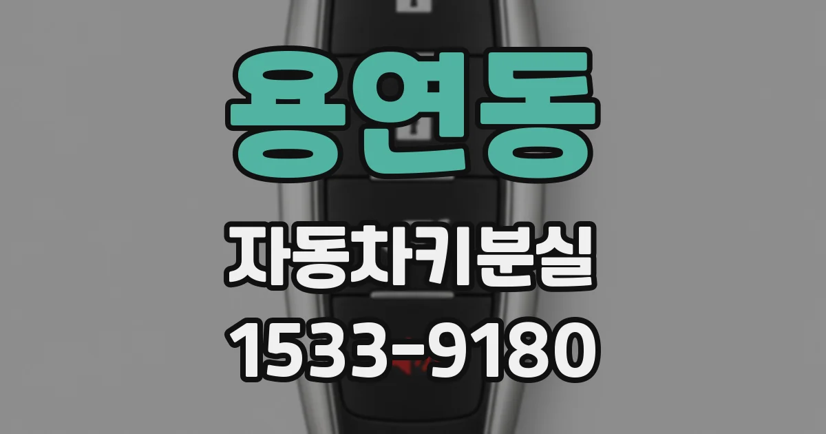 용연동 자동차키분실