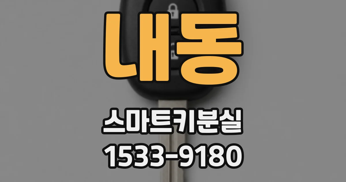 내동 스마트키분실