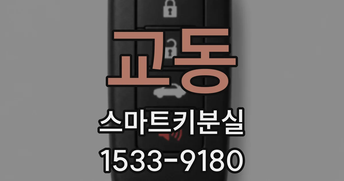 교동 스마트키분실