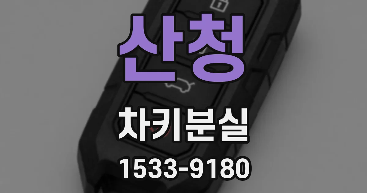 산청 차키분실