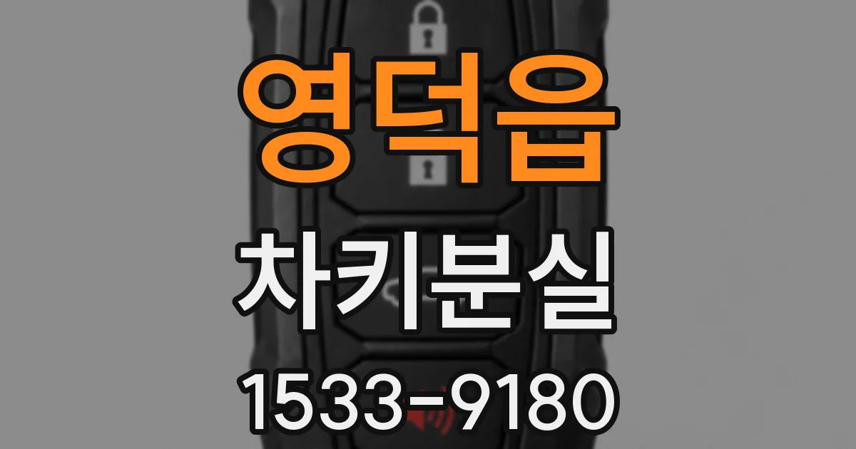 영덕읍 차키분실