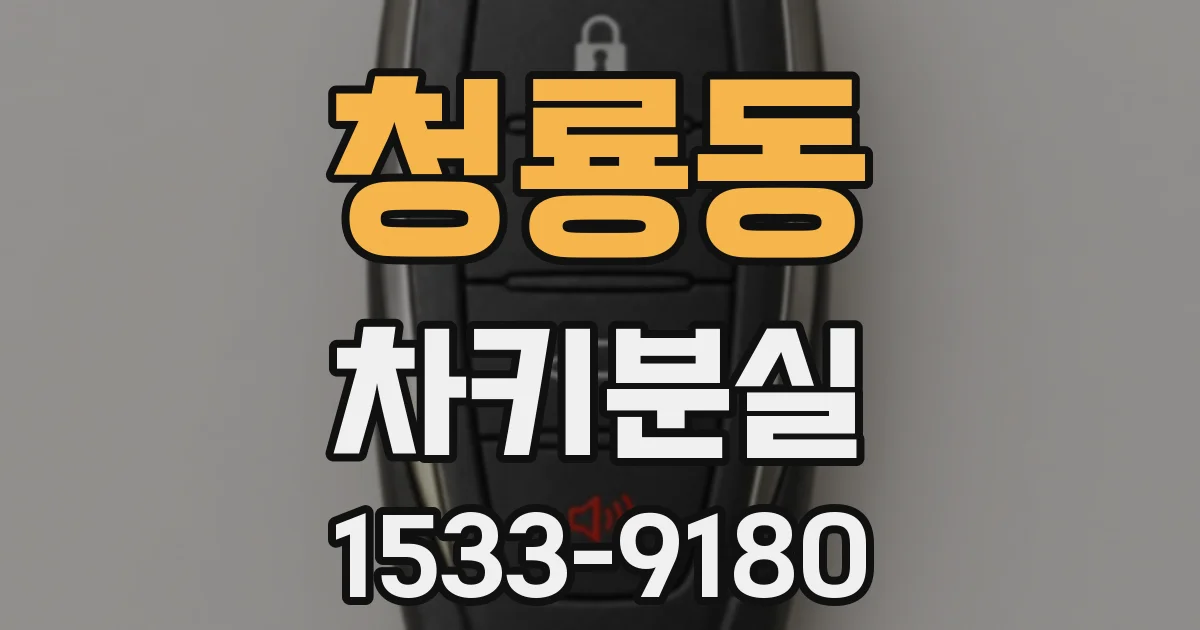 청룡동 차키분실
