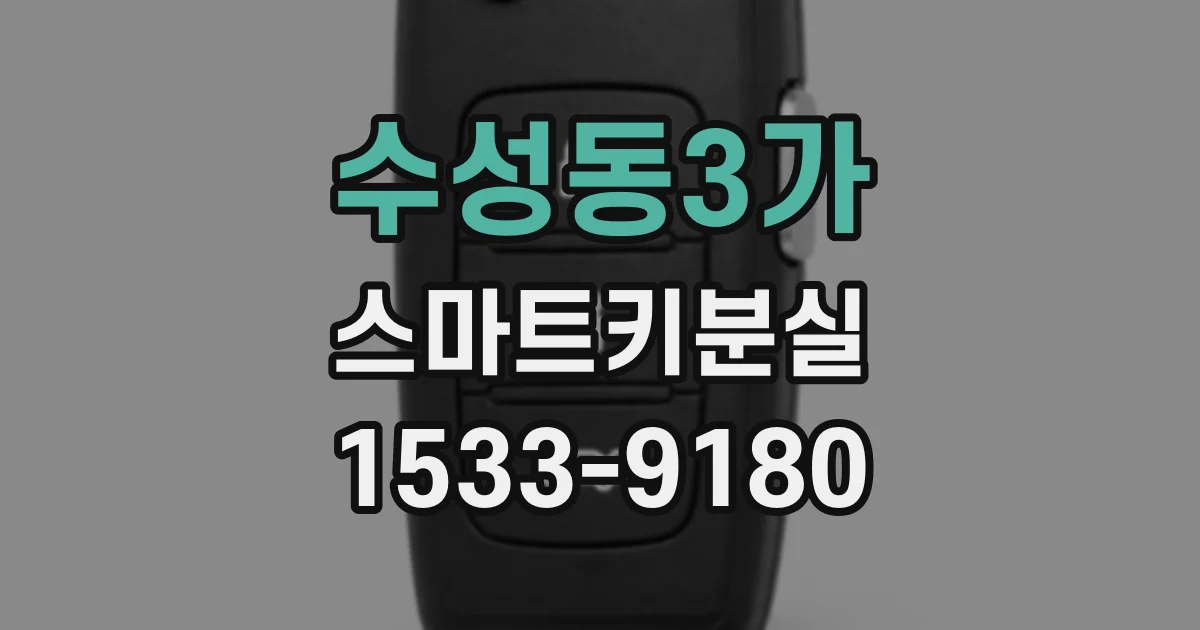 수성동3가 스마트키분실