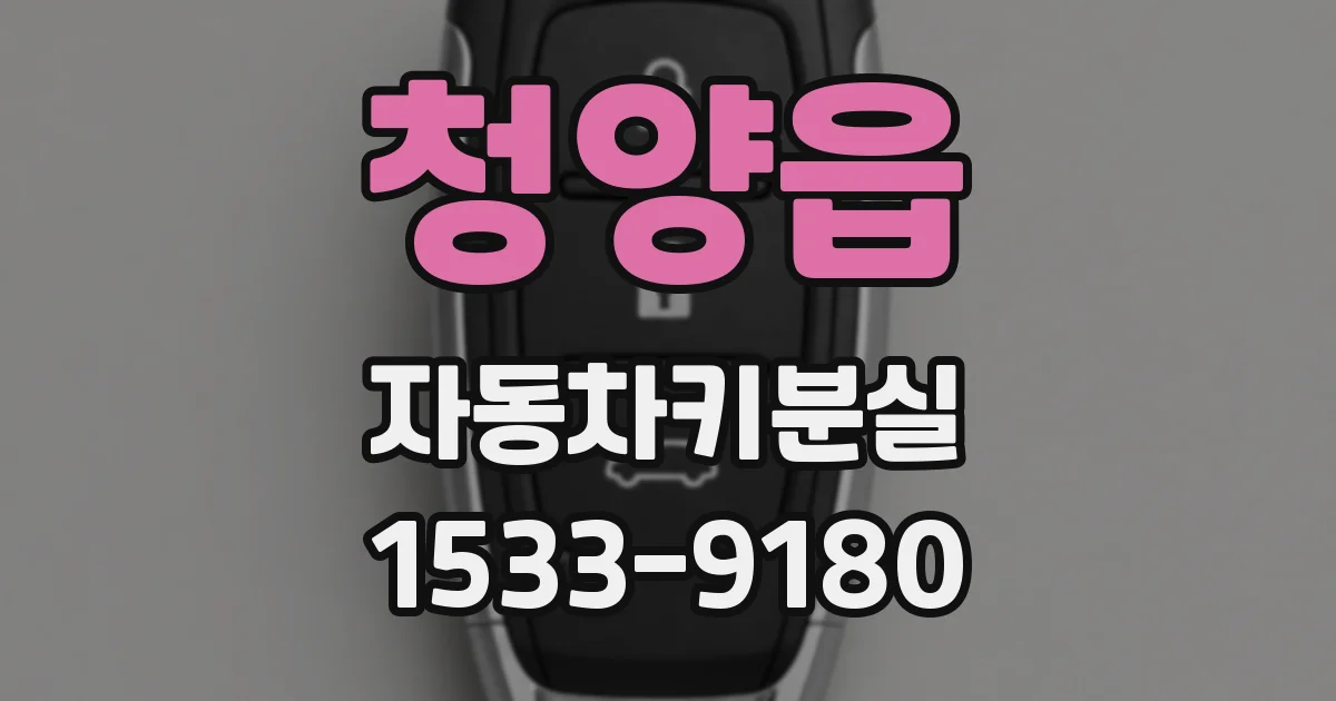 청양읍 자동차키분실