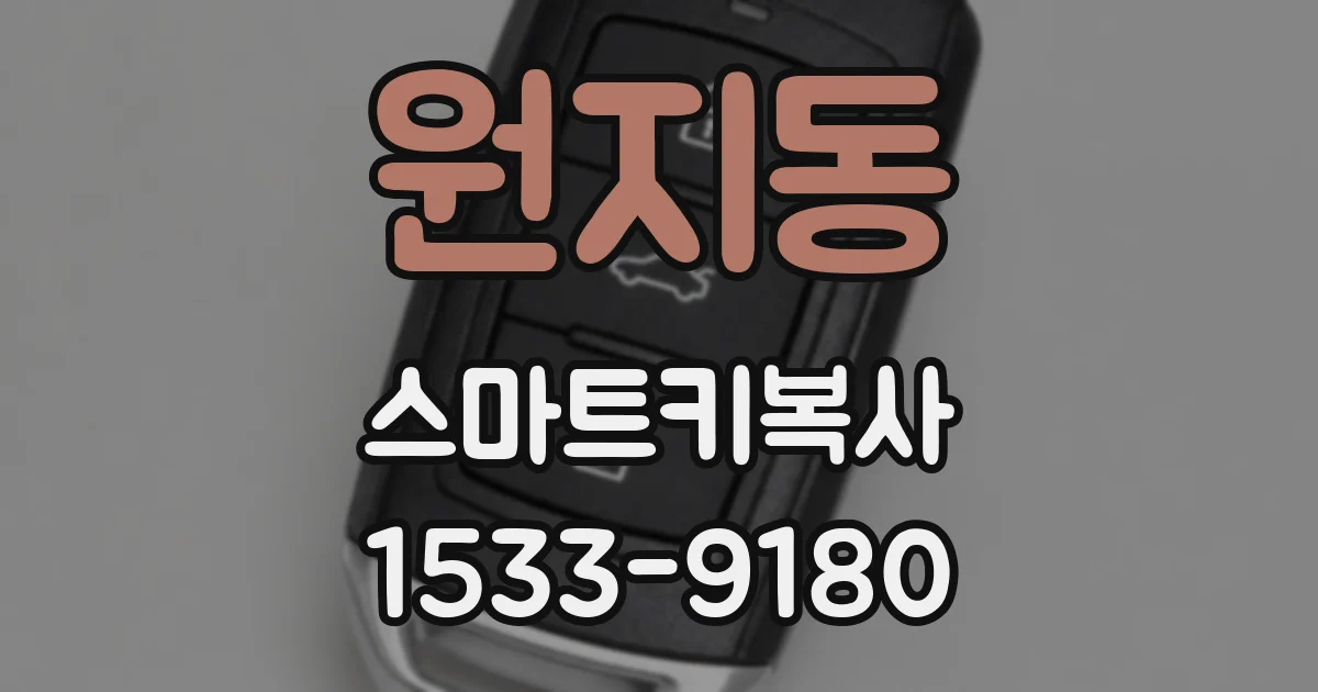 원지동 스마트키복사