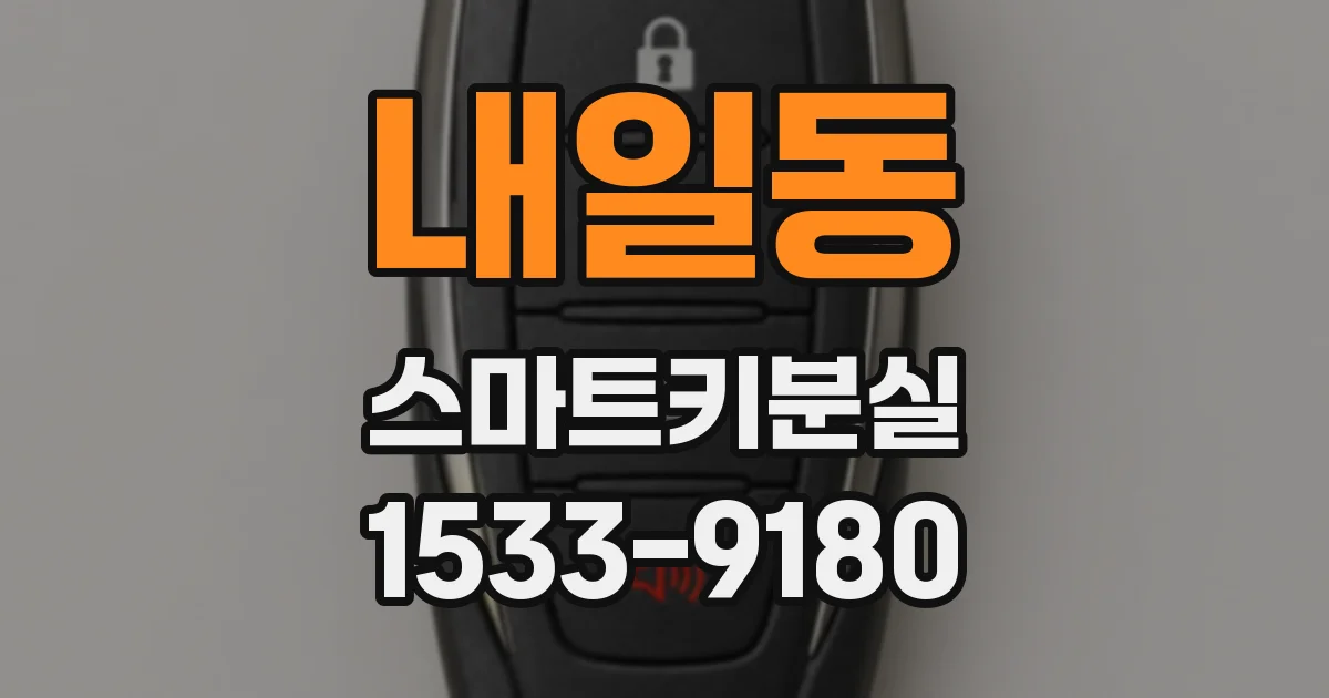 내일동 스마트키분실
