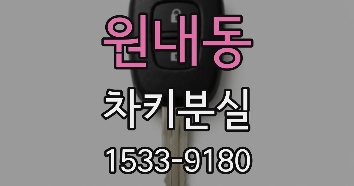 원내동 차키분실