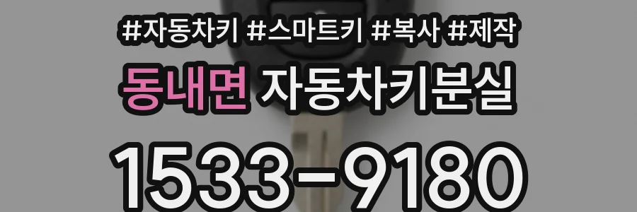 동내면 자동차키분실