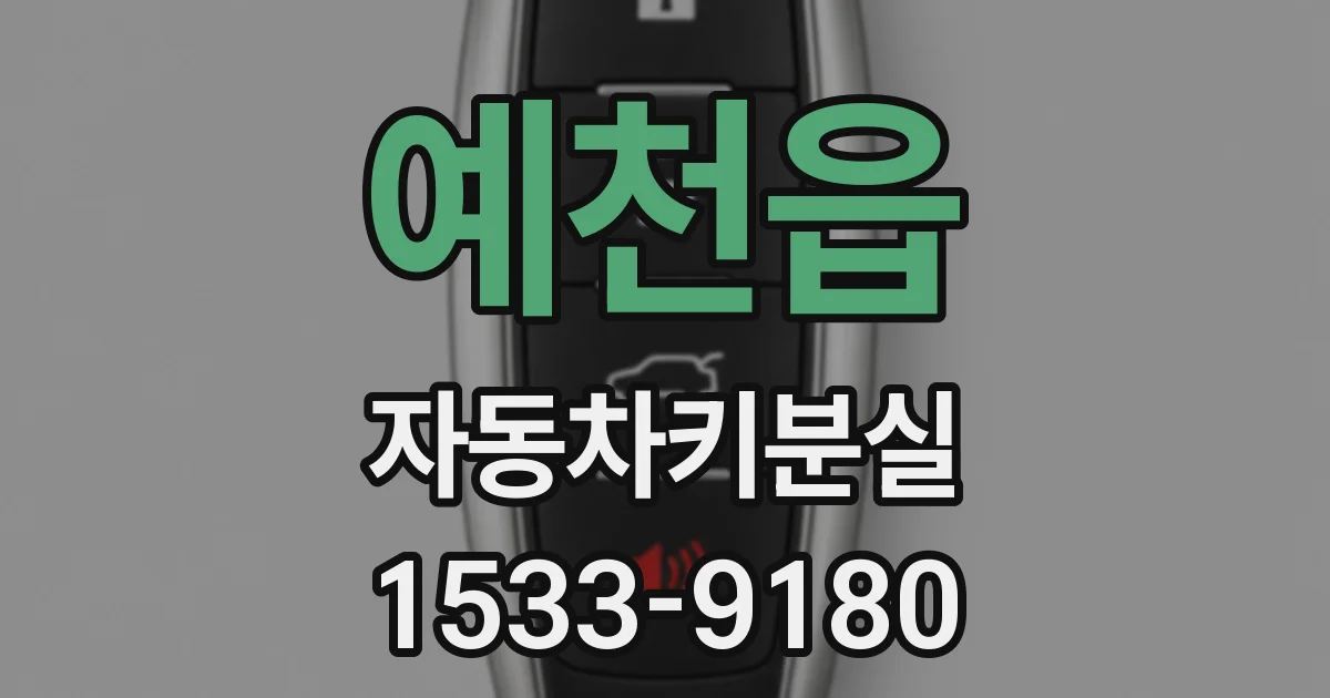 예천읍 자동차키분실