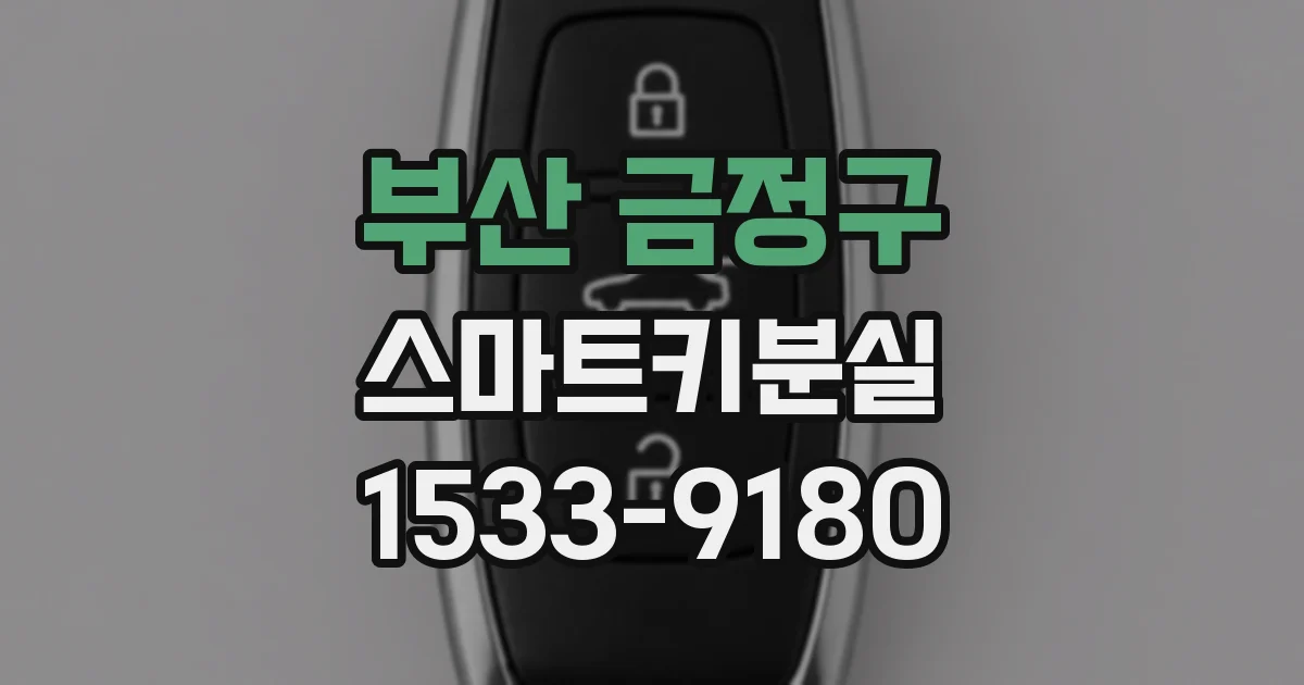 부산 금정구 스마트키분실