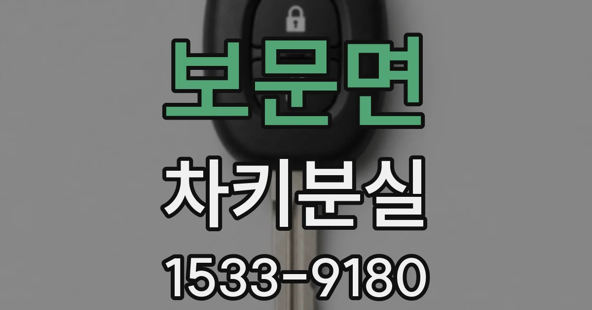 보문면 차키분실