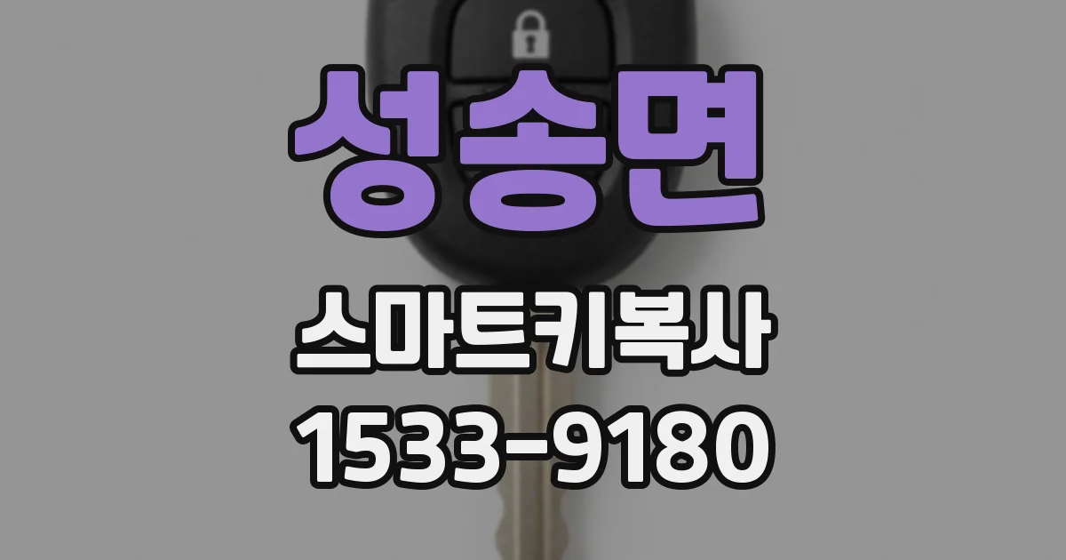 성송면 스마트키복사